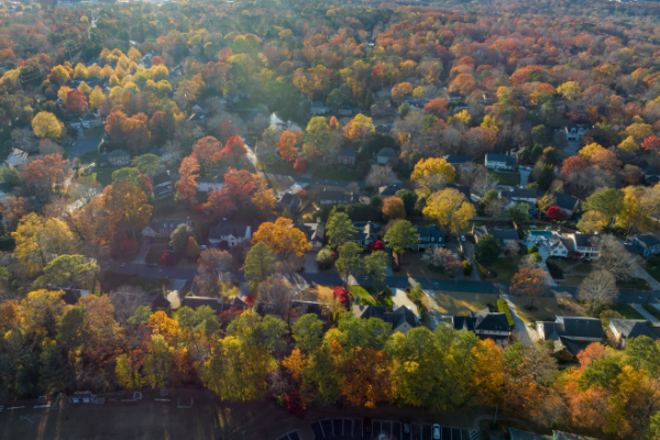 Town In Georgia 005 600X400